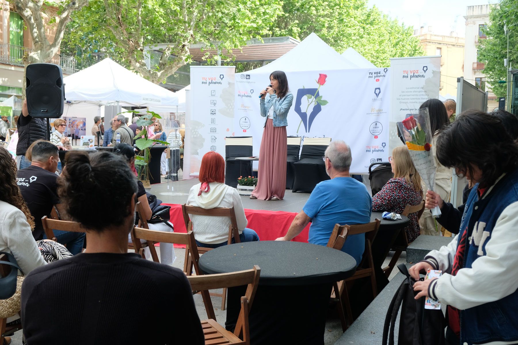 Sant Jordi. Foto: Carme Francés