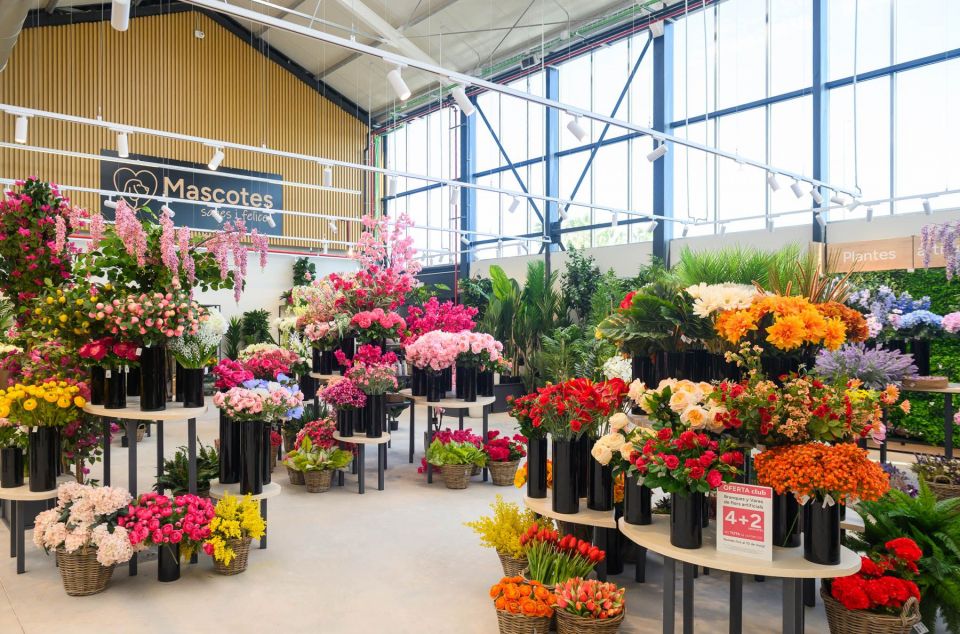 Fronda. Foto: R.Gallofré