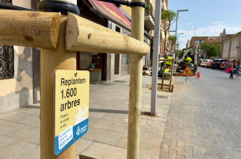 WhatsApp Image 2026 04 29 at 11.17.00 (1)