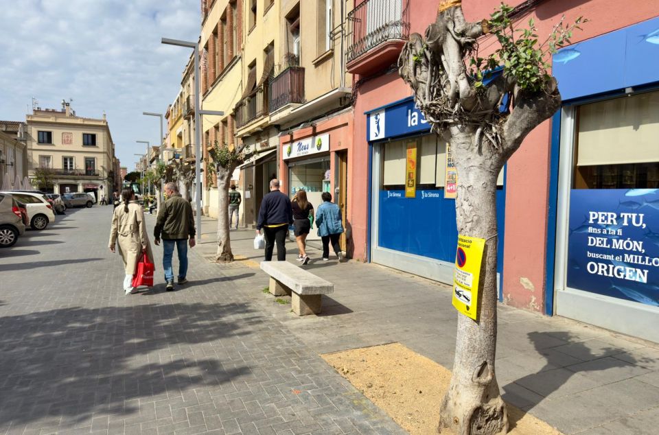 WhatsApp Image 2026 04 29 at 11.17.01