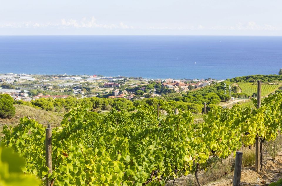 Panorámica de Alella