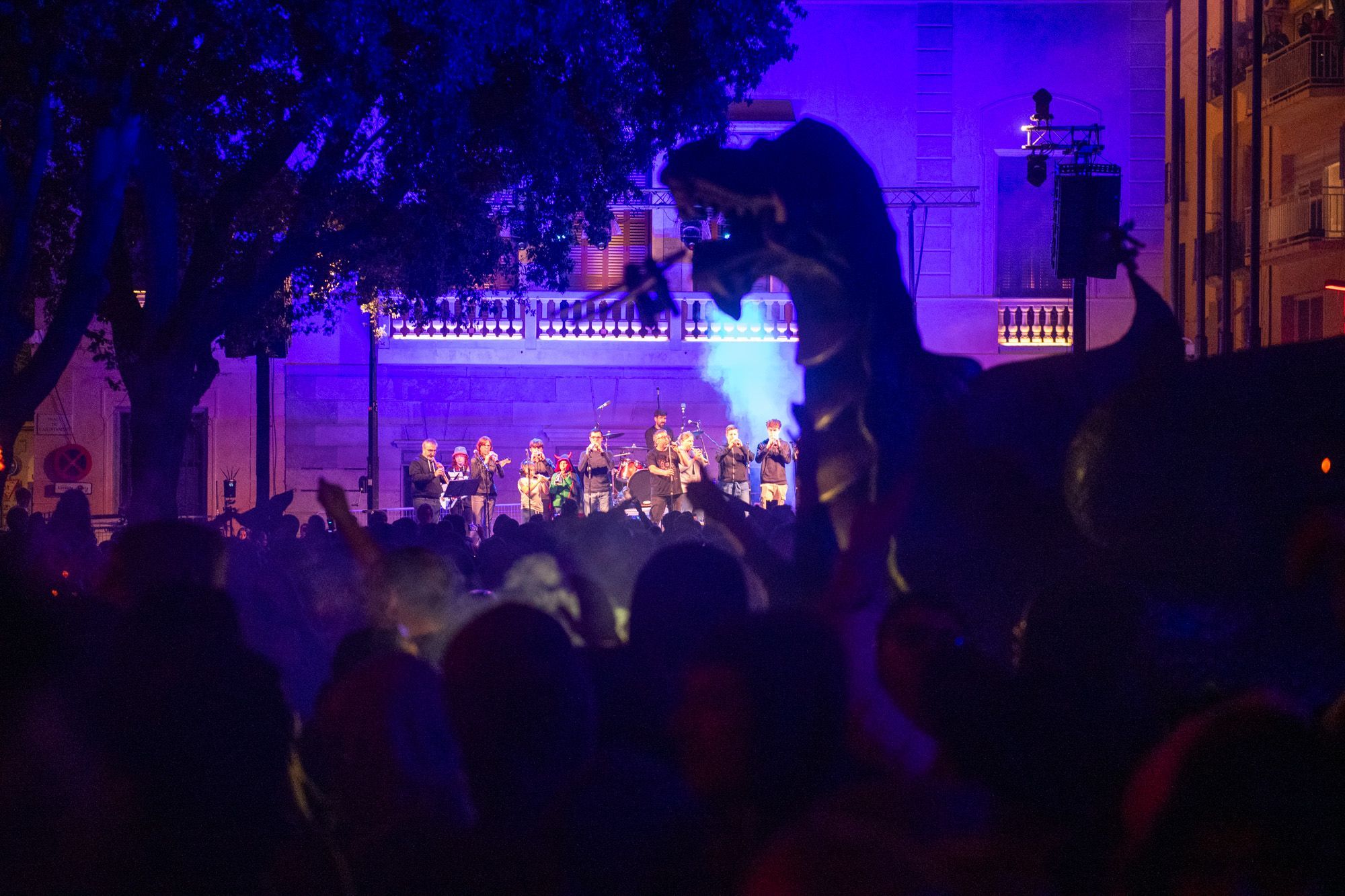 La Coixinera en acció a la Fogonada de Sant Jordi. Foto: R. Gallofré
