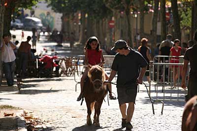 Un monitor acompaña uno de los niños arriba de un pony.