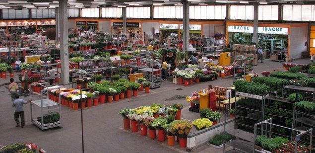 Interior del Mercado de la Flor Interior del Mercado de la Flor