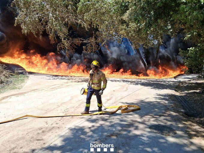 Incendi a Òrrius. Foto: Bombers Incendi a Òrrius. Foto: Bombers
