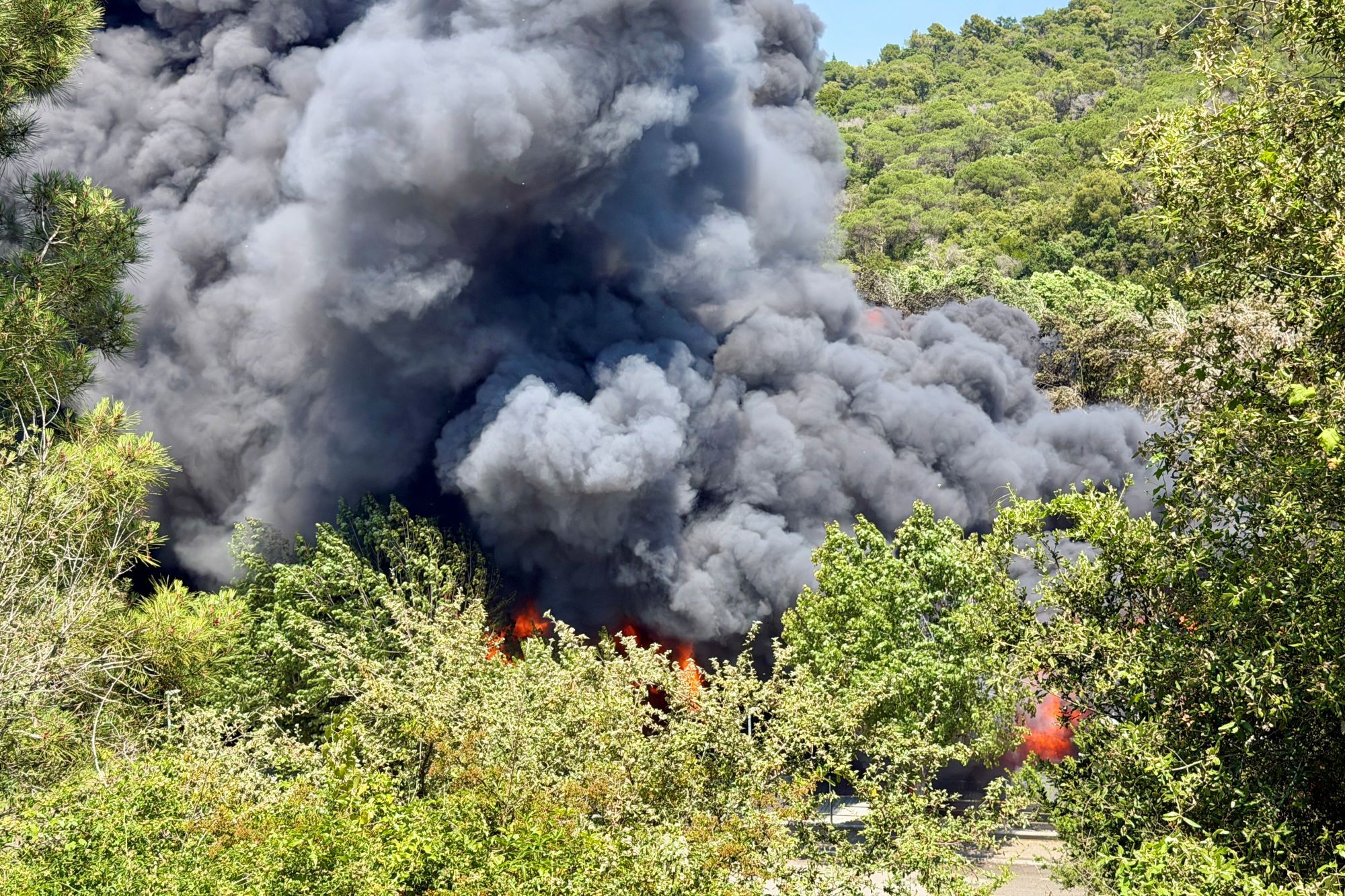 Més foc a Òrrius Més foc a Òrrius