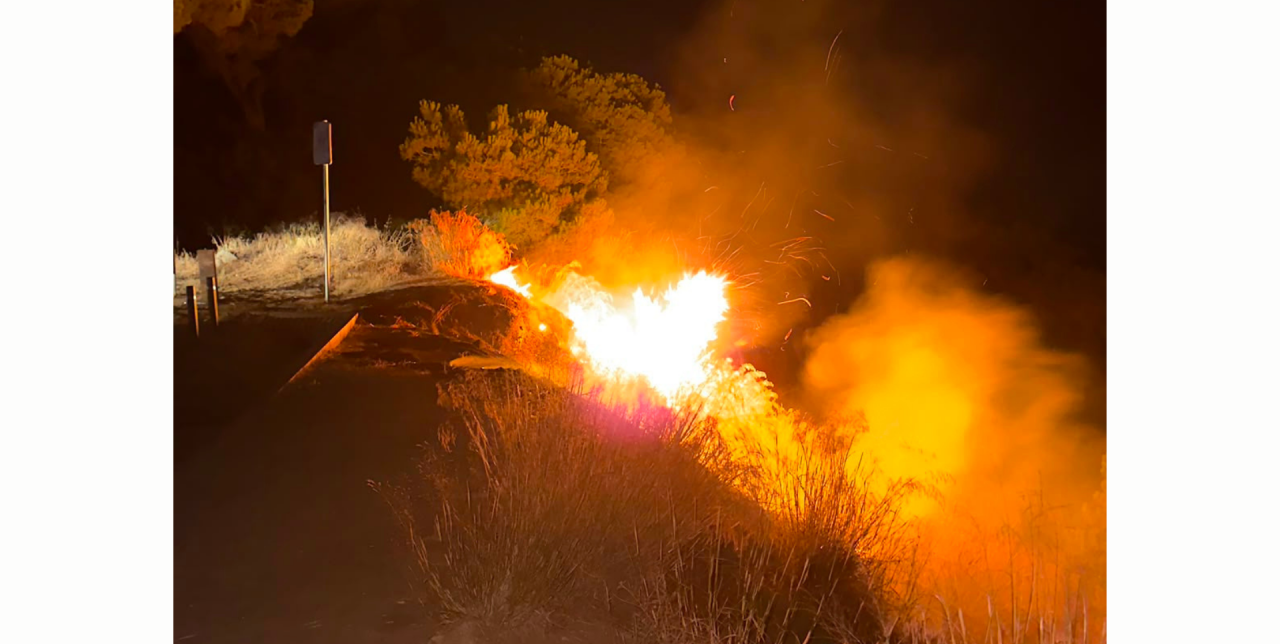 Imatges del foc a l'aparcament del Parc Forestal. Foto: Cedida