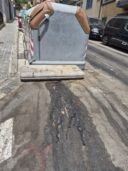 Un contenidor amb pèrdues al barri de Cerdanyola. Foto Cristina Navarro