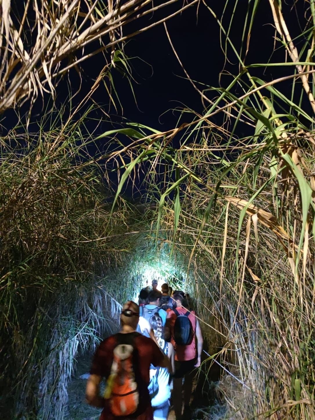 Marxeta Nocturna de Les Santes
