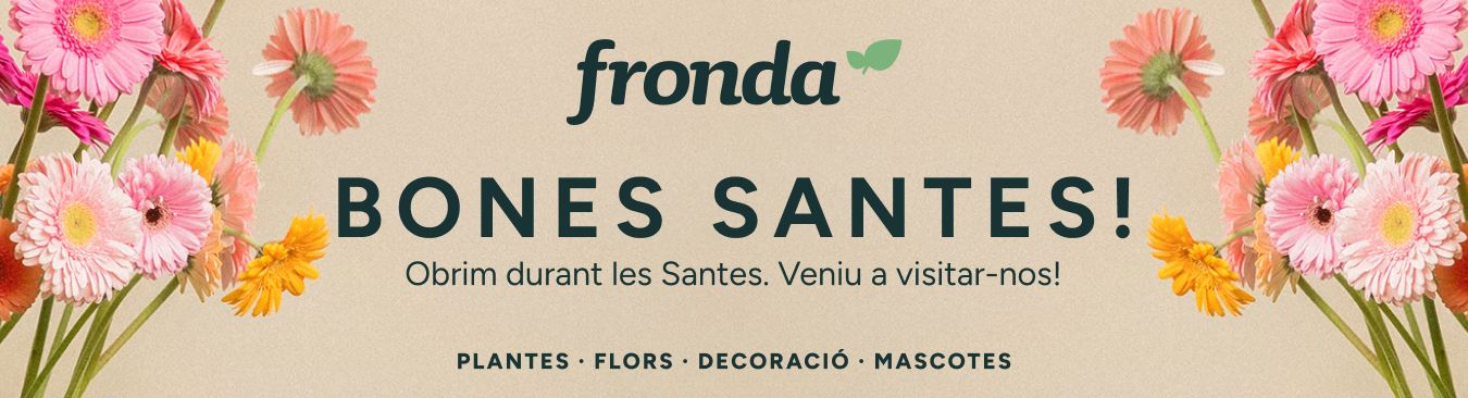FRONDA GALERIA OK