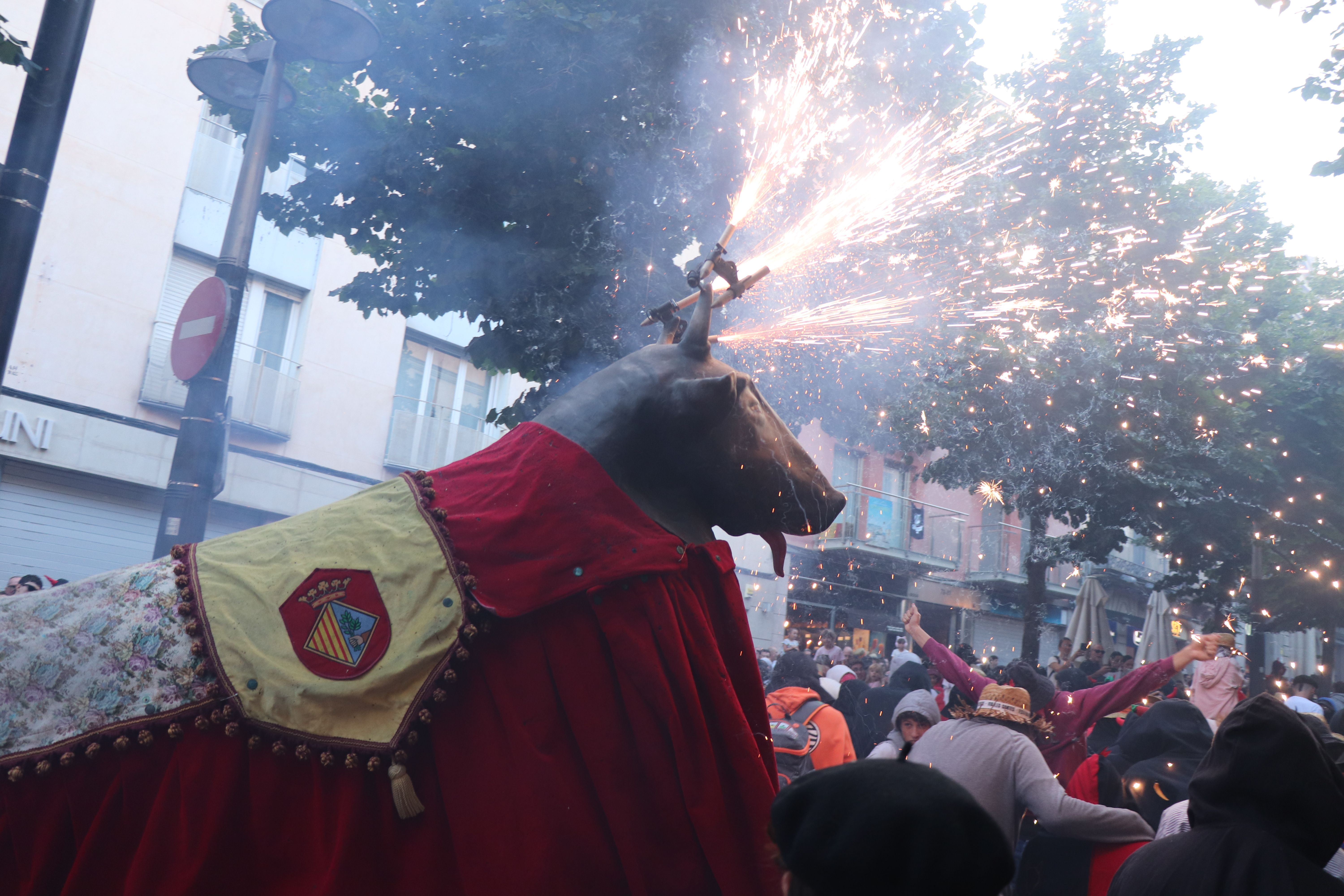 La Tarda Guillada. Foto: Ll. Rugama