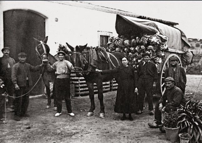 Una estampa antiga de Calella