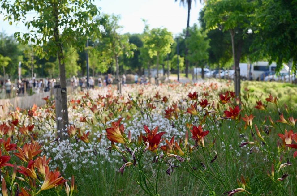Parc Torre llauder fotos. Foto: Ajuntament