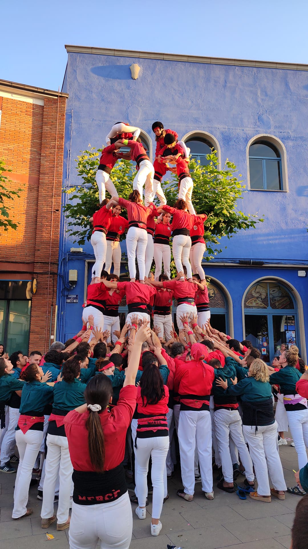 Maduixots a Palafolls