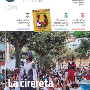 3943VILES 1