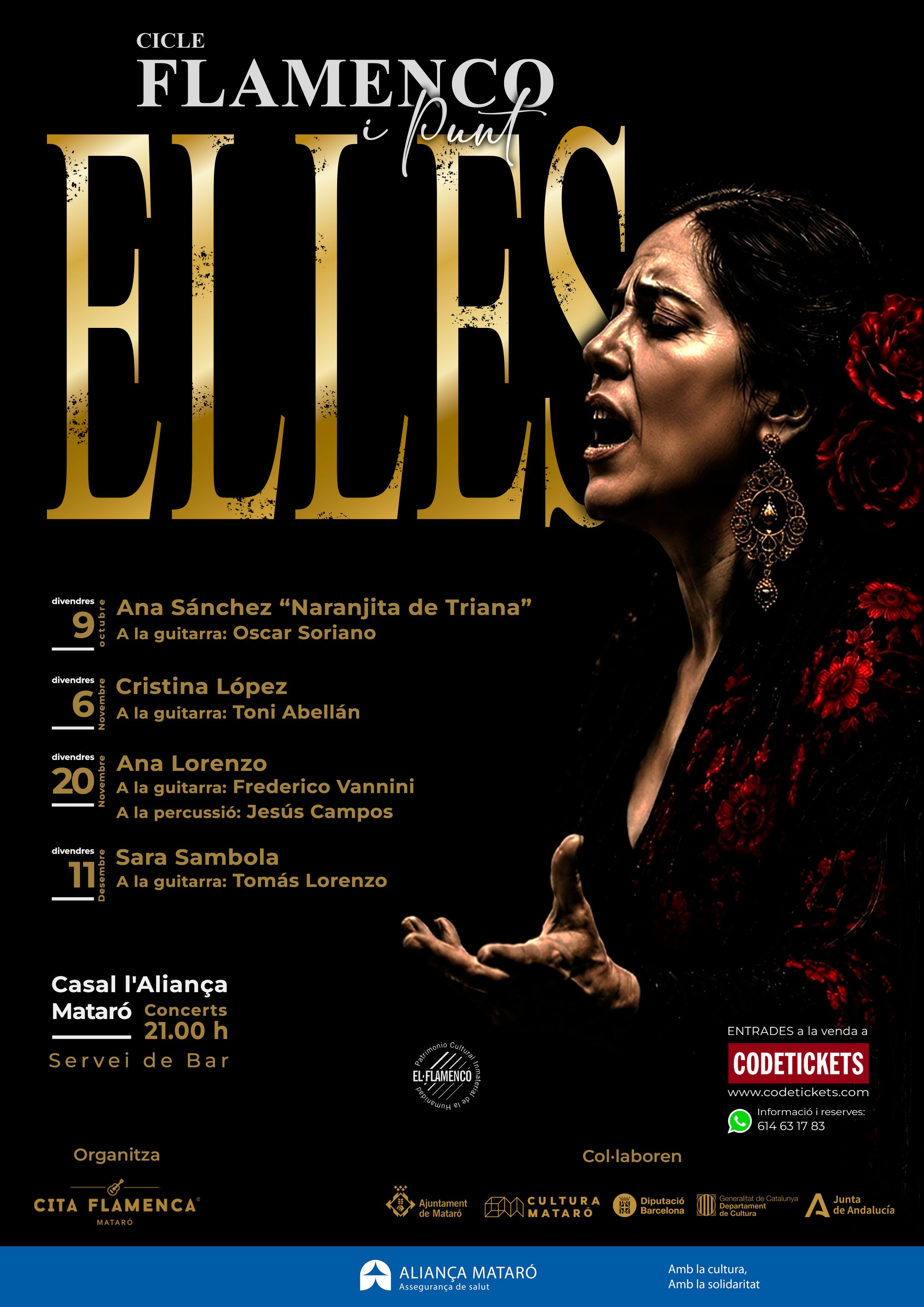 Cartell II Ciclo Flamenco i punt