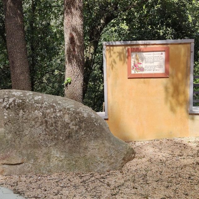 Roca Caganera