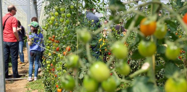 L'Hort d'en Dídac L'Hort d'en Dídac