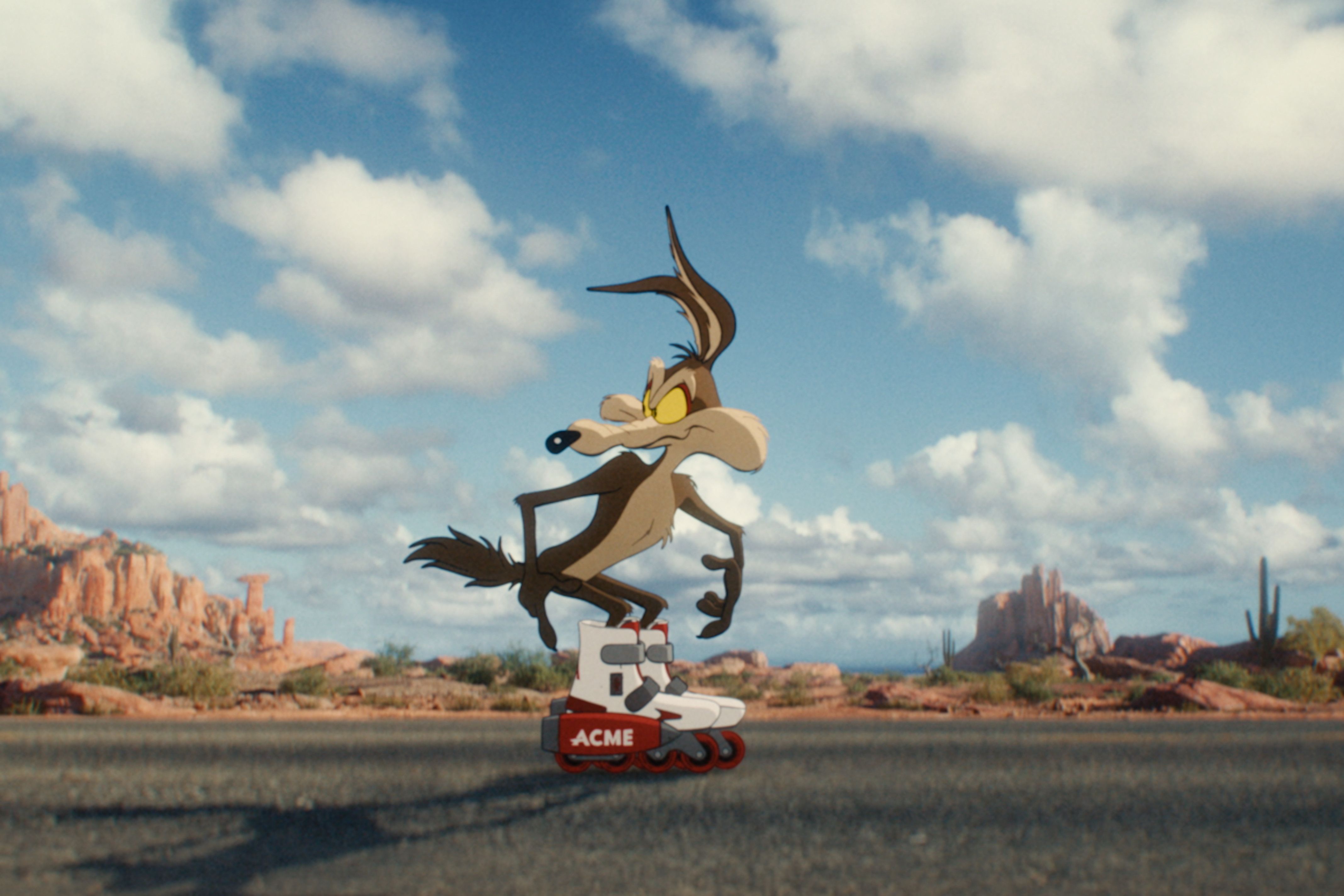 Coyote vs. Acme