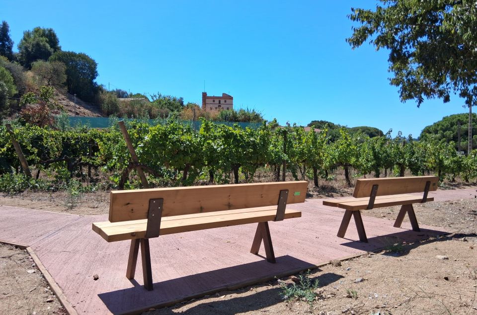 Es tracta d'un itinerari accessible
