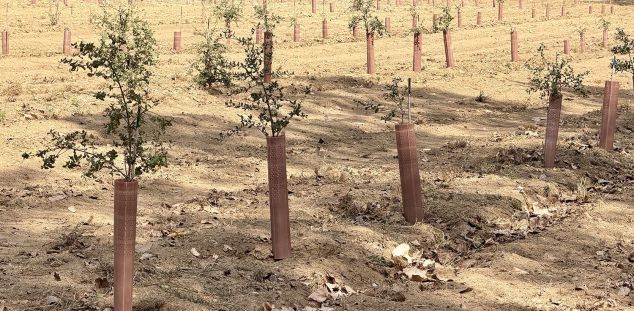 La finca on s'està provant l'aposta. Foto: ACN