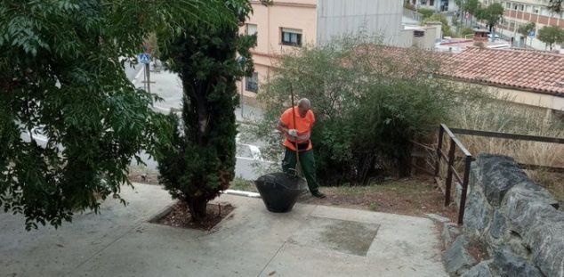 Netejant l'entorn del jaciment. Foto: Aj Mataró