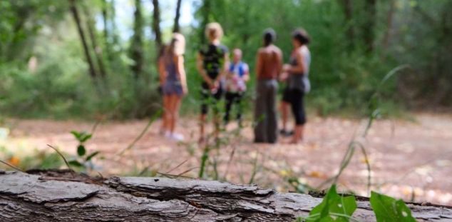 Bany de bosc al Maresme