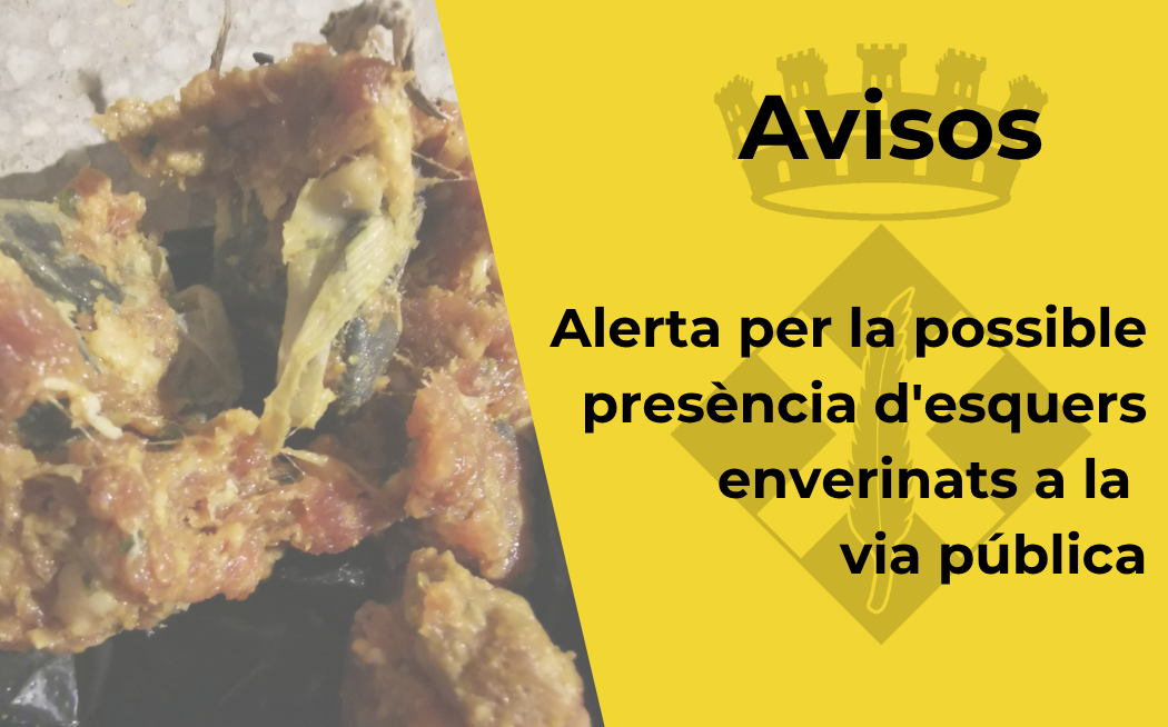Alerta Alerta