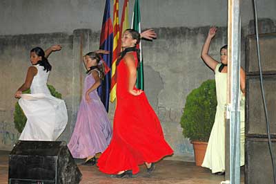 Al festival  han participado diferentes cuadros de bailes de entidades como la Casa de Andalucía.
