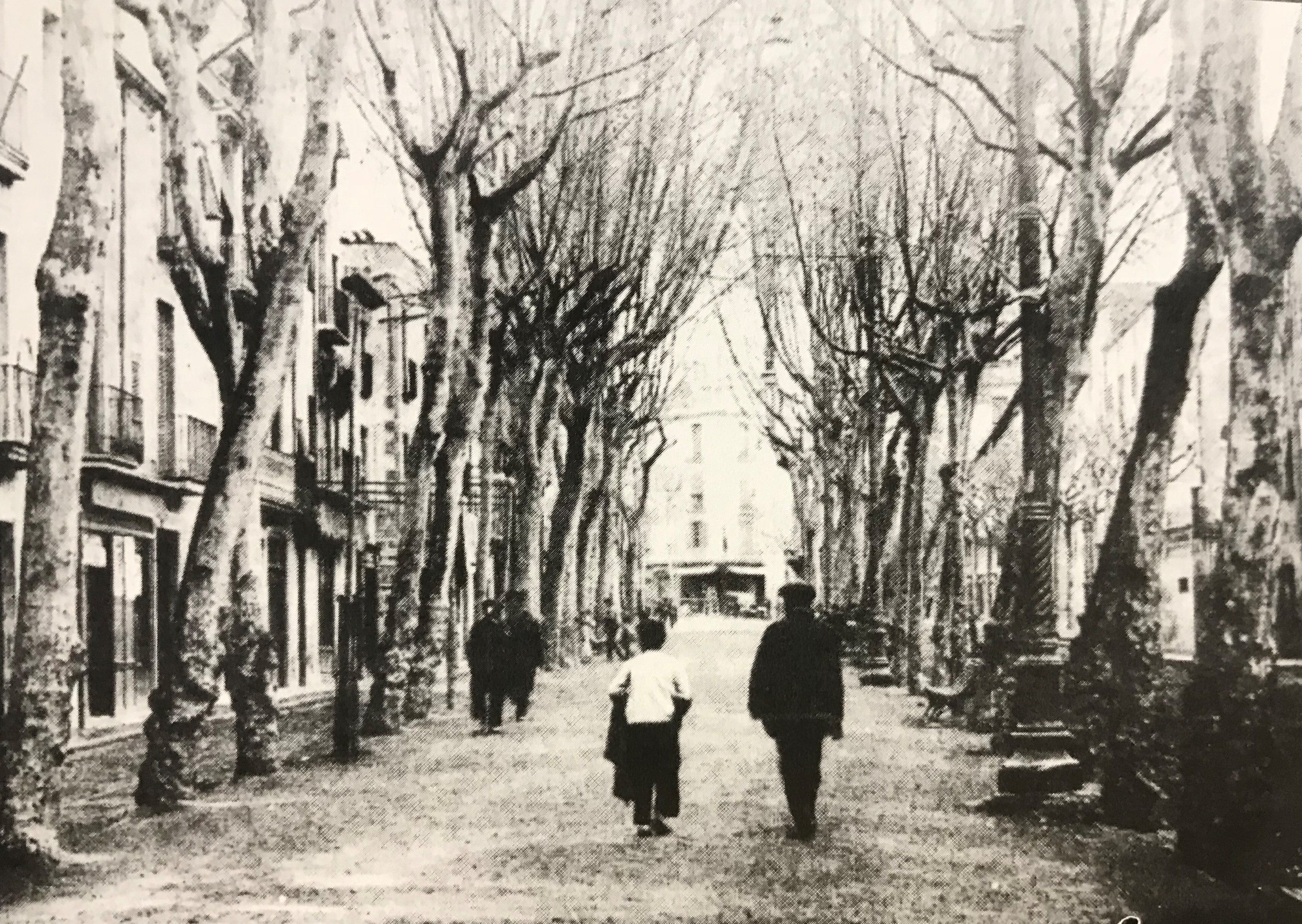 Foto: Joaquim Marfà y Serra