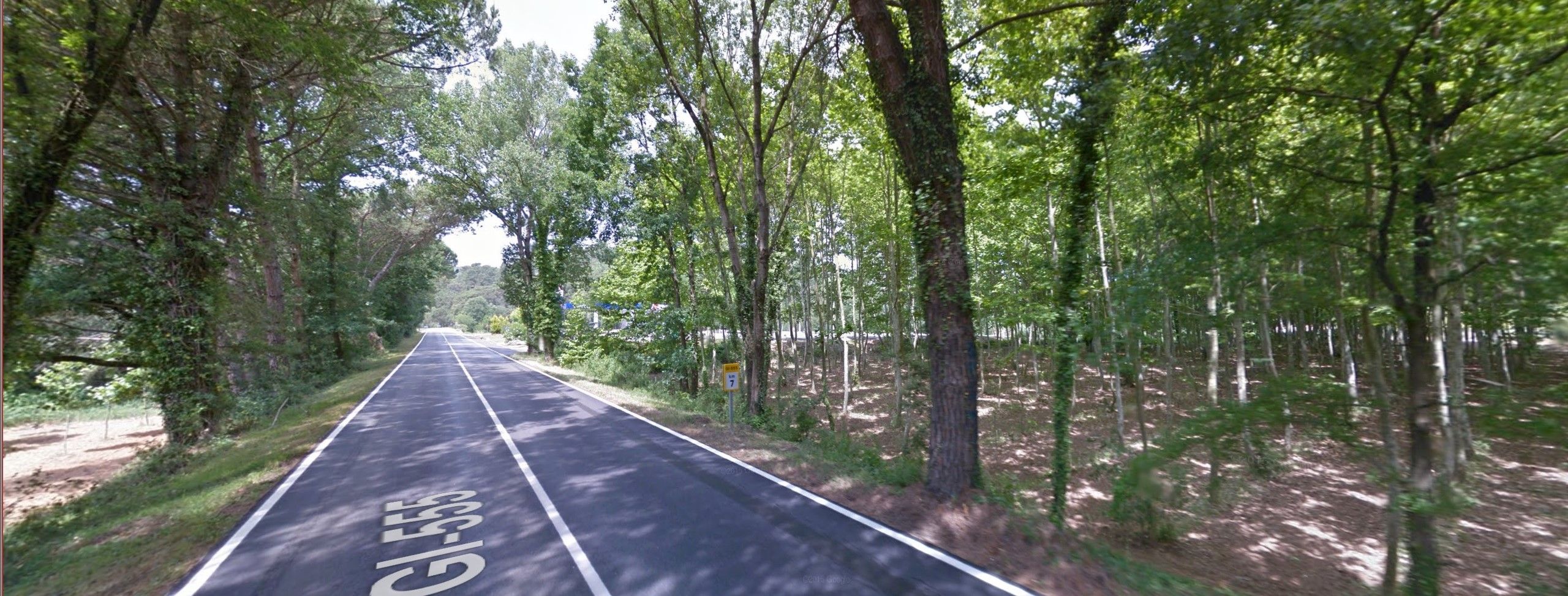 Un tramo de la carretera GI-555