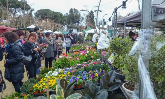 Parada flors