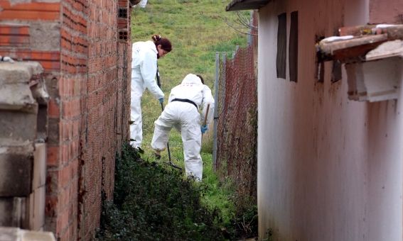 foto 3319557 foto 3319557