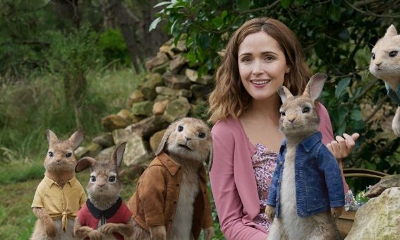 PETERRABBIT