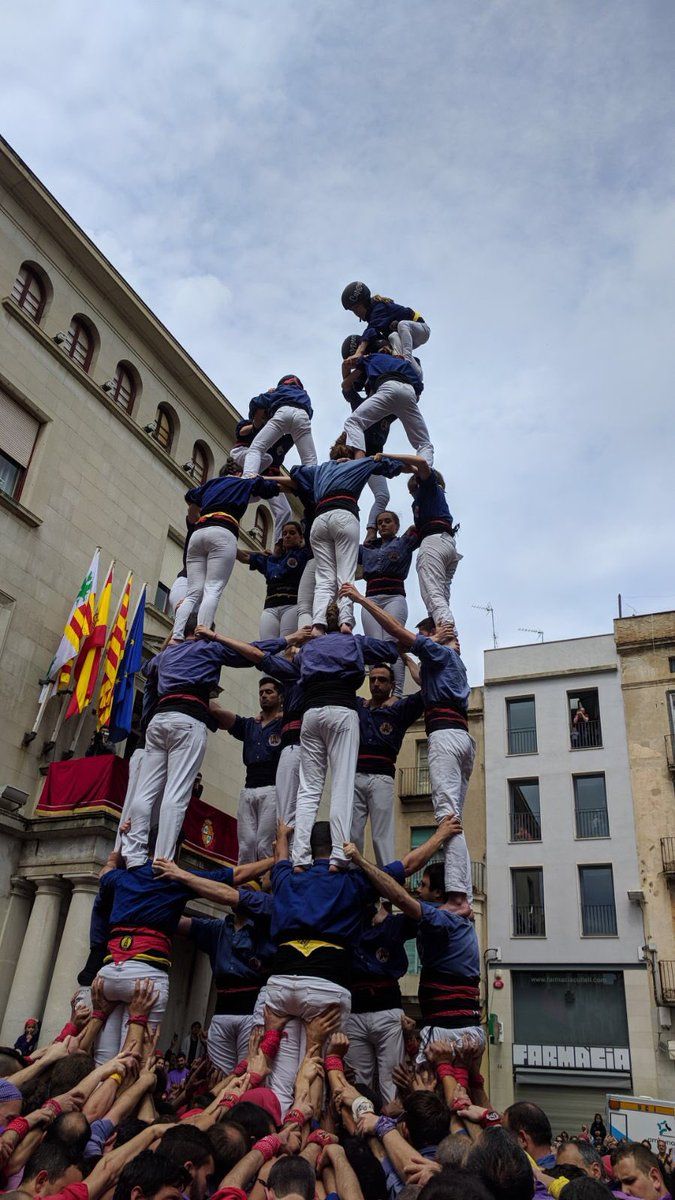 Foto: Renacuajos