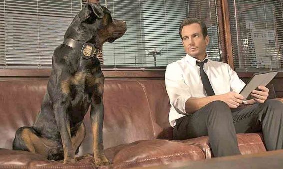 SUPERAGENTECANINO
