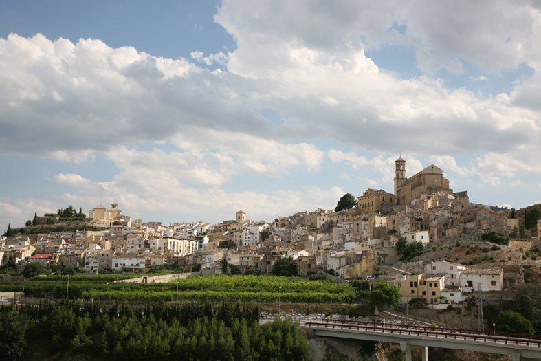 vista del municipi murcià