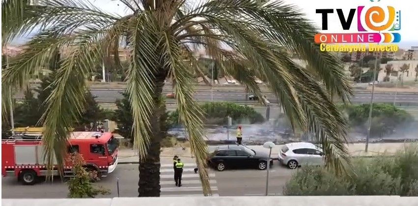 Imagen del vídeo Imagen del vídeo