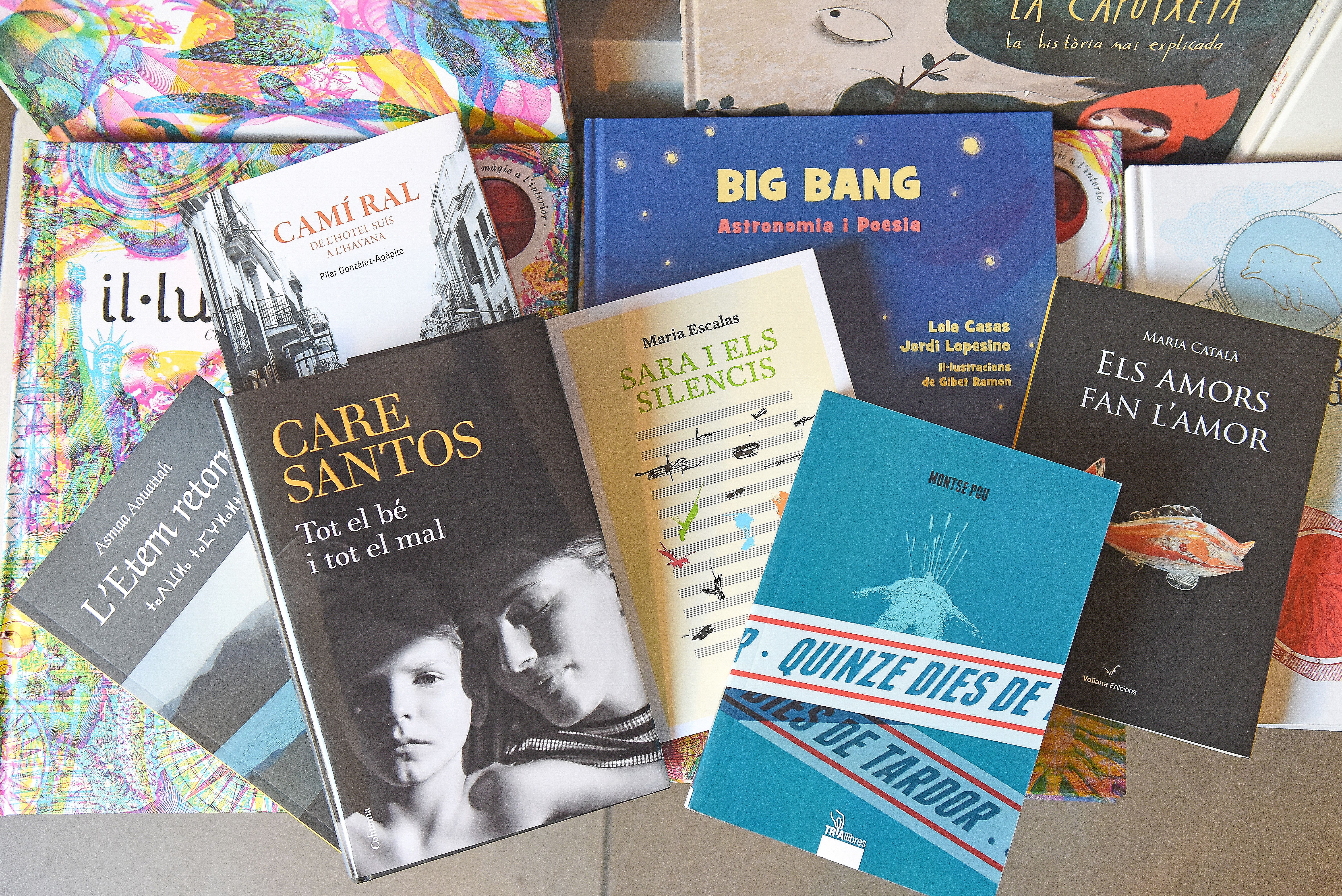 bodegó libros