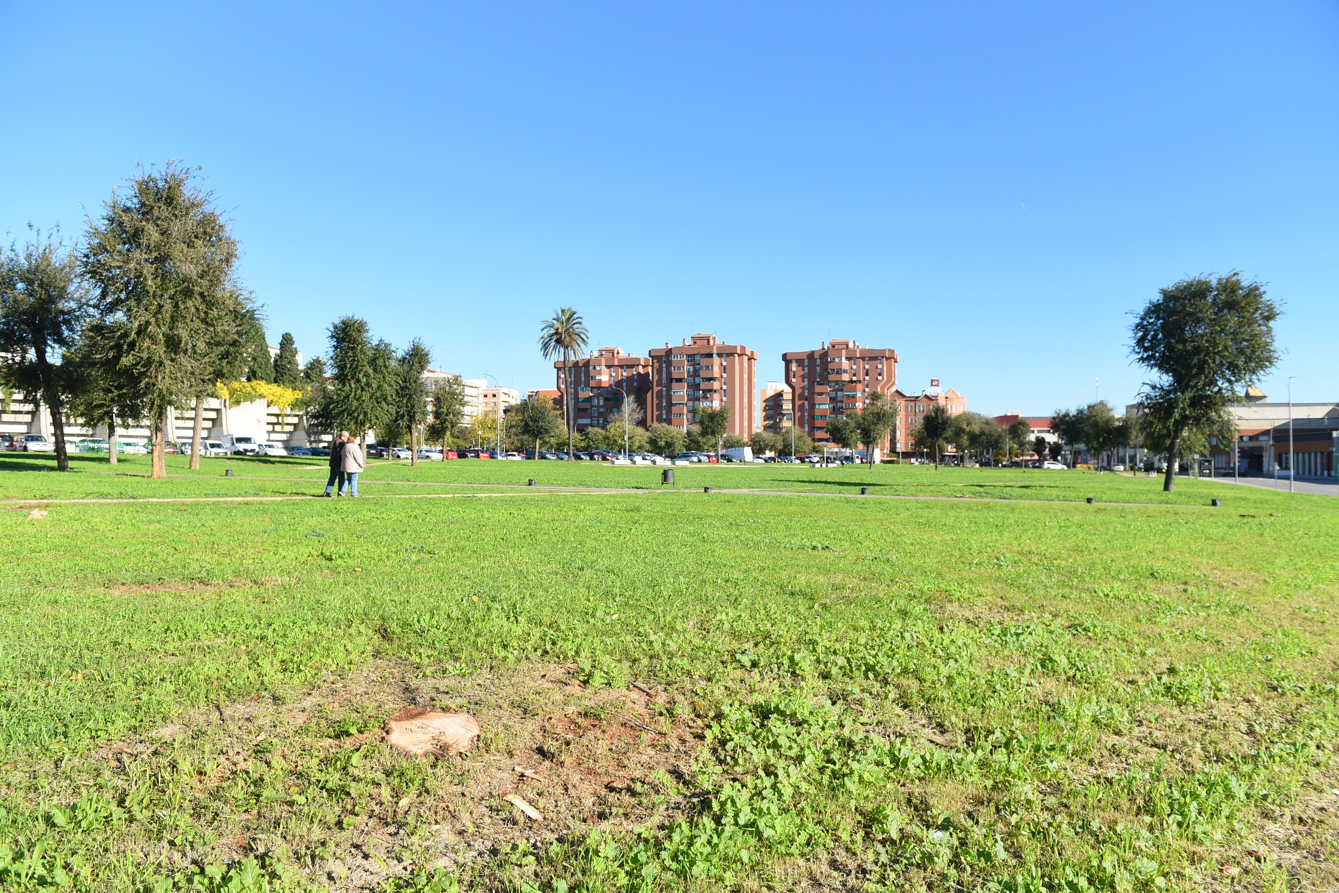 La pollancreda, con los árboles talados. Foto: R. G.