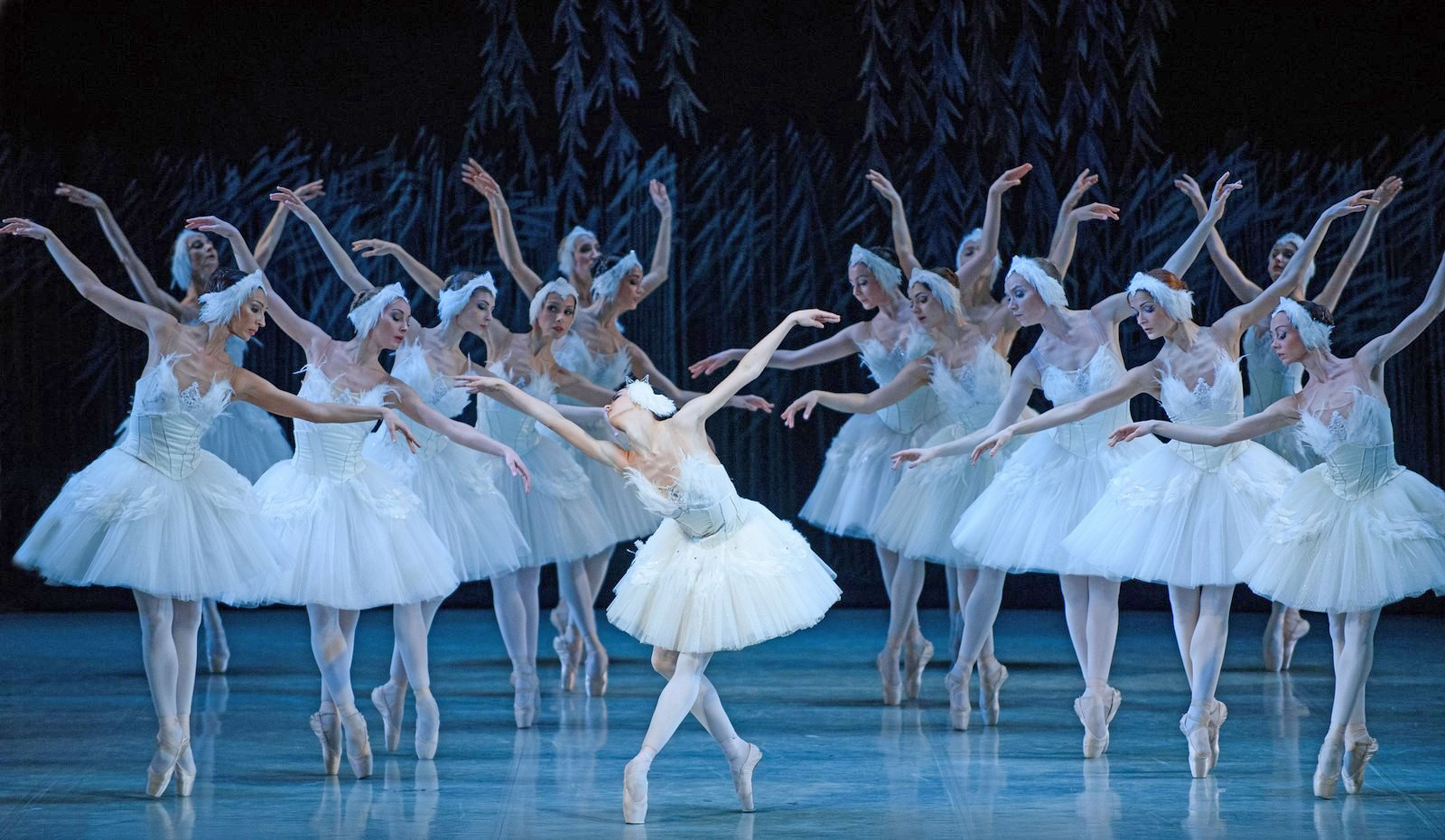 "El lago de los cisnes", a cargo de Russian Classical Ballet