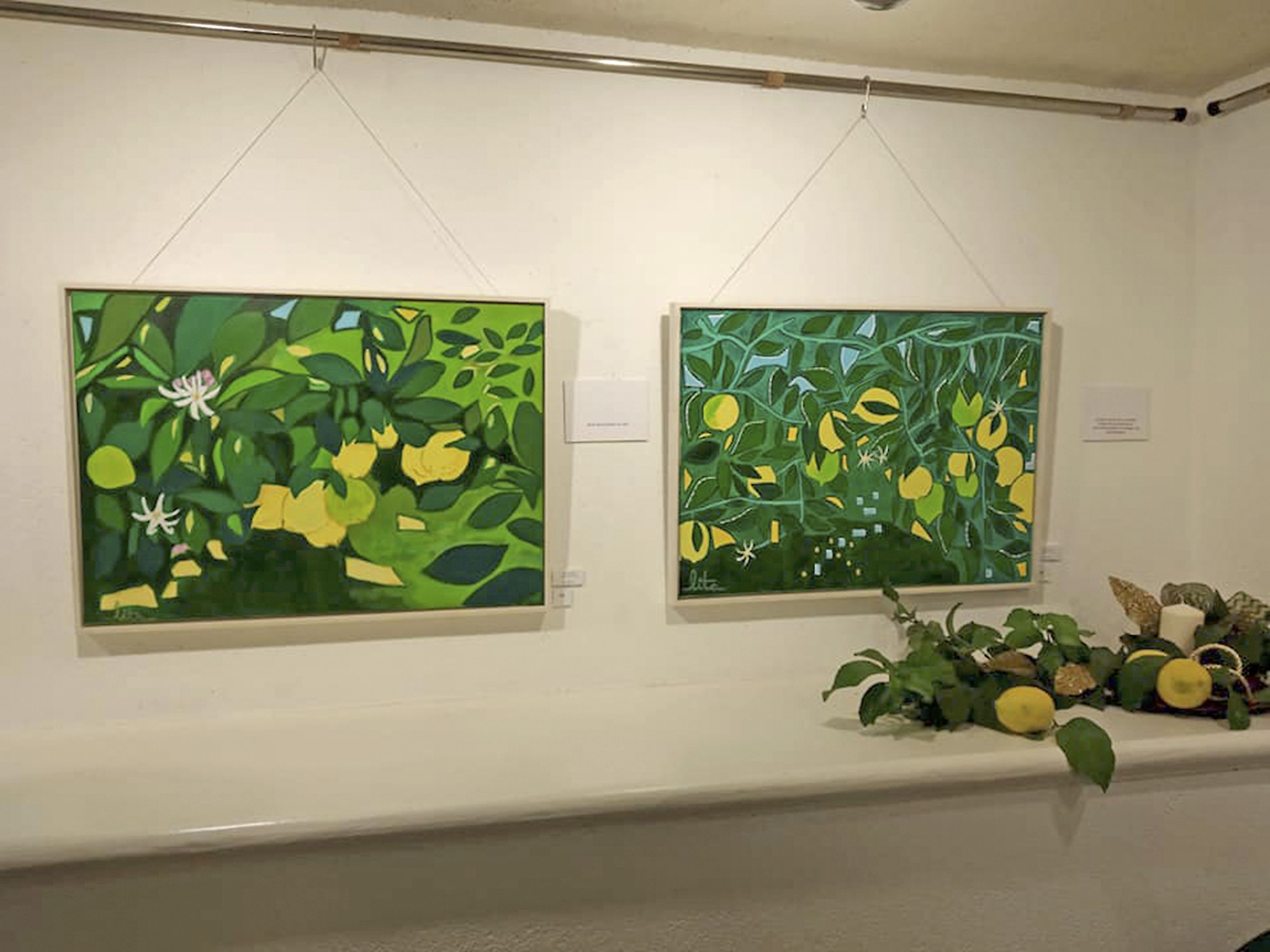"Frutos y flores" del artista mataronina Lita Palomera