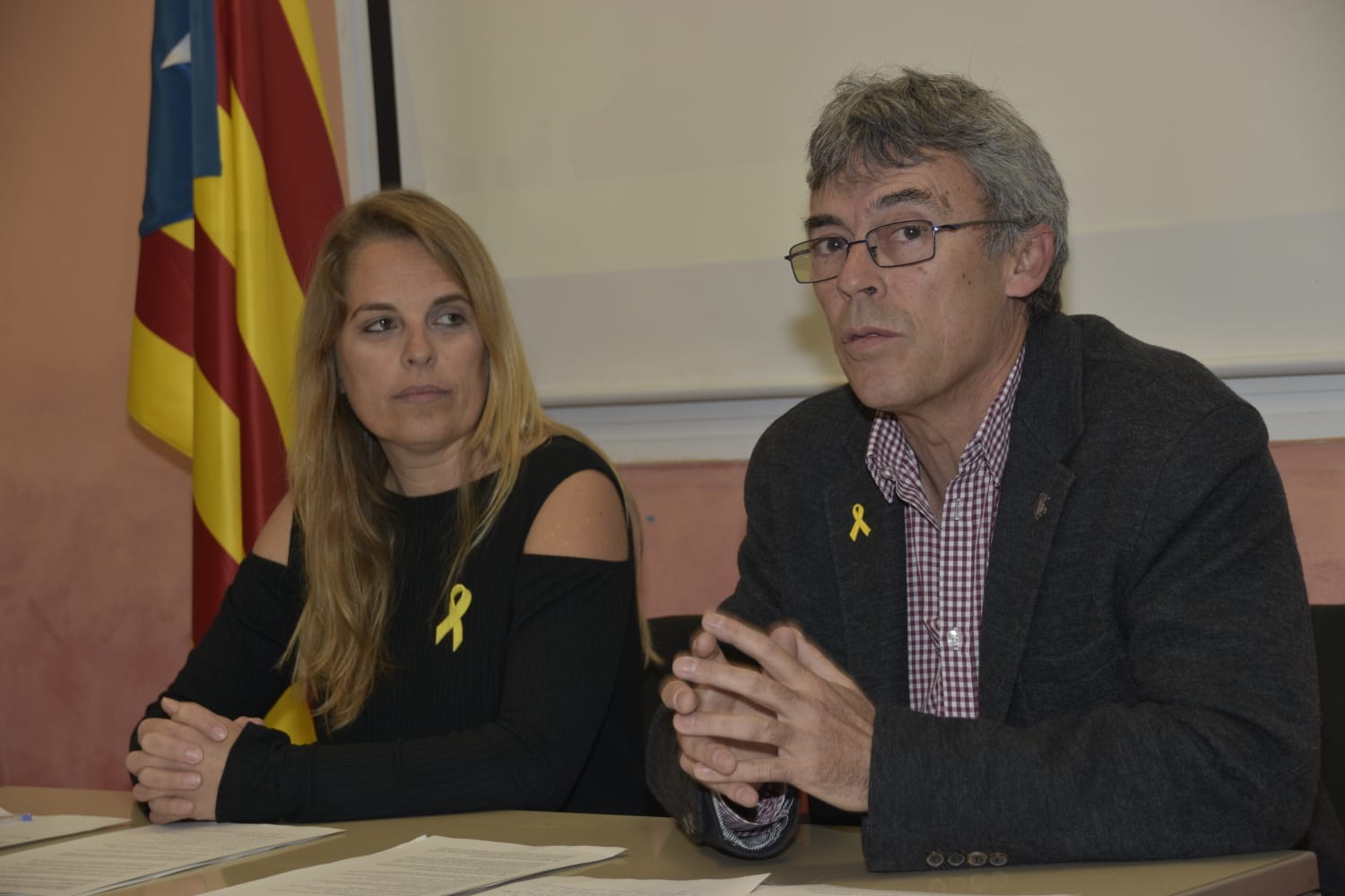 presentacio precampaña 2
