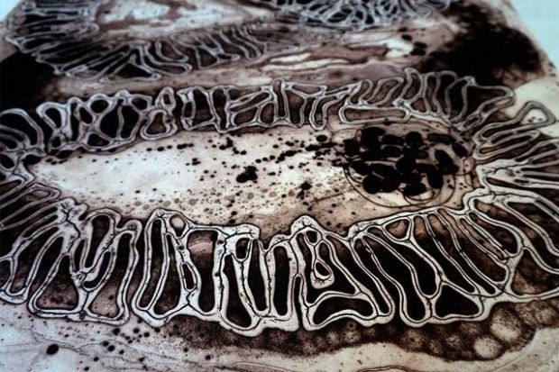 Catherine Lorton. Biogeometries