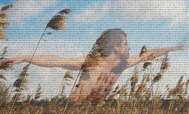 "Ayer", Animal Religion