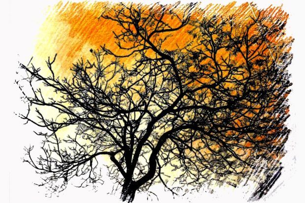 "Imprenatura", David Lloveras