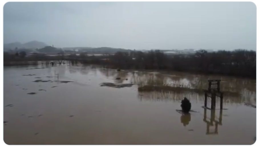 Afectaciones en Palafolls. Foto: Ayuntamiento de Palafolls