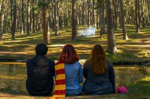 "Proyecto Patronus", Fernando Vidal Llavata y Beatriz Martínez Arranz