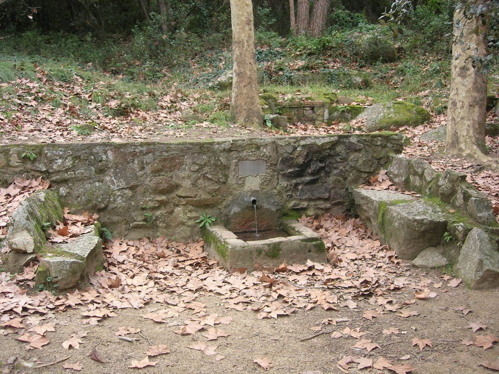 La fuente de en Quico, a los entornos de la Riera de Clarà en Argentona, donde se perdió el niño