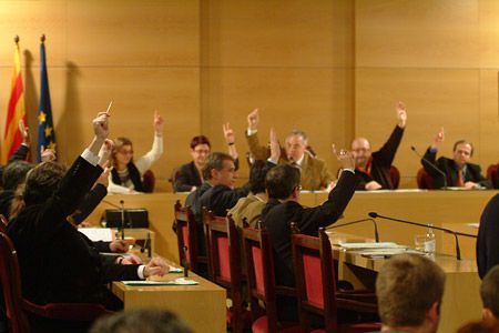 Un moment de la votació de la proposta Un moment de la votació de la proposta